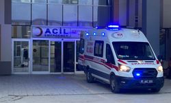 Sokak köpeklerinin saldırdığı 5 yaşındaki çocuk hayatını kaybetti