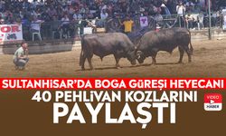 Sultanhisar’da boğa güreşi heyecanı: 40 pehlivan kozlarını paylaştı