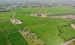 Aydın’da 16 Mahalle, 4 ilçe için Tarihi Karar: Tarımda Yeni Dönem Başlıyor
