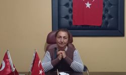 Aydın’daki köyler de vergi ödeyecek: Mahalle muhtarından karara tepki!
