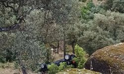 Aydınlı sürücünün zor anları: Tarlaya yuvarlandı