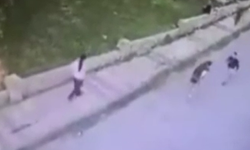 Bıçaklı park kavgası! 15 yaşında katledildi