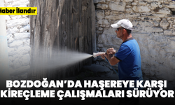 Bozdoğan Belediyesi'nin haşereye karşı çalışmaları sürüyor