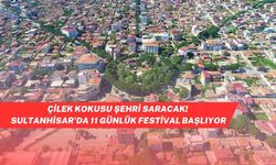 Sultanhisar’da 54. Çilek Festivali Başlıyor: Ege’de 11 Günlük Coşku Neye Sahne Olacak?