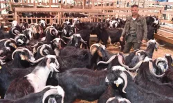 Efeler’de kurban kesim yerleri açıklandı
