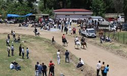 Ege genelinden 100 at Nazilli’de dörtnala koştu: Geleneksel rahvan yarışları nefes kesti