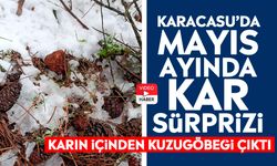 Karacasu’da Mayıs ayında kar sürprizi