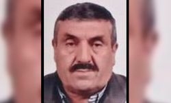 Kesim esnasında feci olay! Ağacın altında kaldı