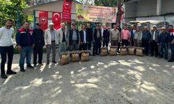 Koçarlı’da üretime destek