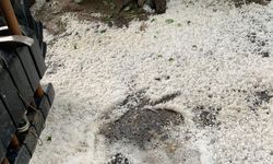 Kuyucak’ı dolu vurdu! Tarım ürünleri zarar gördü