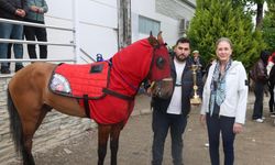 Nazilli'de festival tamamlandı: Rahvan at yarışları nefes kesti