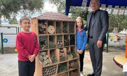Nazilli’de sıra dışı proje: Böcekler için lüks konaklama