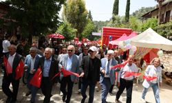 Tarih ve müzik Aydın'da buluştu: Alexandra Gravas Priene’de büyüledi