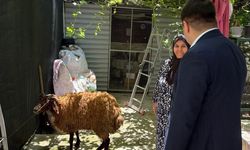 Ülkü Ocakları Aydın’da gönüllere dokundu! Şehit emanetlerine bayramda vefa eli