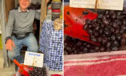 Aydın’ın komşusunda zeytinin fiyatı dudak uçuklattı
