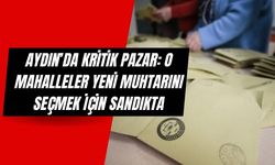 Aydın’da Sandık Yeniden Kuruluyor! 6 Mahallede Seçim Olacak