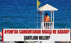 Aydın'da Cankurtaran Maaşı Ne Kadar? Cankurtaranların Sigortası Oluyor Mu, Şartları Ne? En Yüksek Ücret Ne Kadar?