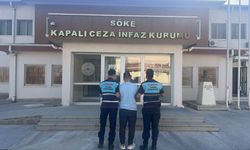 Aydın’da düzensiz göç operasyonu! Jandarmadan çalılıkta baskın