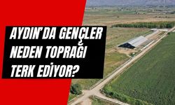 Aydın’da Genç Çiftçi Var mı? Aydın’da Gençler Neden Toprağı Terk Ediyor?