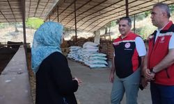 Aydın’da kadın üreticiden ilham veren başarı