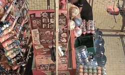 Aydın’da markette 100 bin lirayı aşan vurgun! Çocuklar suç makinesi çıktı