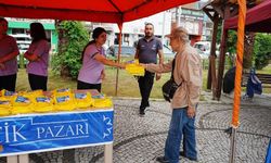 Başkan Zencirci incir üreticilerine ilek torbası dağıttı
