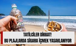Plajlarda Sigara İçmek Yasaklandı mı? Ne Zaman Yürürlüğe Girecek, Hangi Plajlar İçin Geçerli