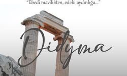 Didim’de Akdeniz rüzgarı esecek! Organizasyona sayılı gün