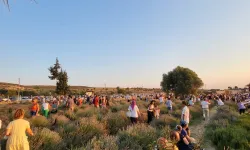 Didim'de Lavanta ve Aromaterapi Festivali için geri sayım başladı