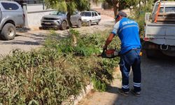 Didim’de yeşil alanlarda bakım çalışması sürüyor