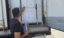 Didim’den İngiltere’ye balık ihracatı