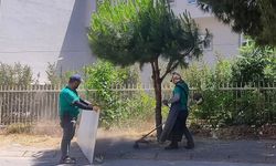 Efeler’in park ve yeşil alanlarında çalışma