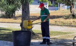 Efeler’in yeşil alanlarında yaz temizliği