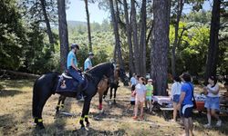 Kuşadası’nda atlı jandarmadan doğa nöbeti
