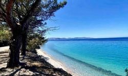 Kuşadası’nda doğa ve deniz buluşması! Dilek Yarımadası’nda doğayla iç içe yaz