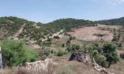 MTA Aydın’daki altın sondajı raporunu açıklamadı
