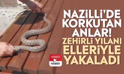 Nazilli'de korkutan anlar! Zehirli yılanı elleriyle yakaladı