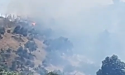 Nazilli’deki yangına müdahale sürüyor! Rüzgar etkisiyle kontrolden çıktı