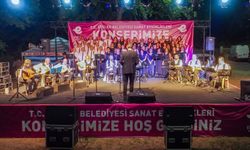 Pınarbaşı’nda sanat şöleni