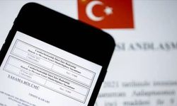 Aydın'da kaymakam ve vali yardımcıları değişti: Resmî Gazete'de yayımlandı