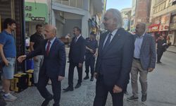 Söke ikinci Şirince olma yolunda
