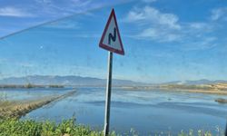 Söke’de bin 500 dekar arazi üretim dışı kalacak