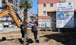 Söke’de önemli düzenlemeler: Kentin görünümü değişiyor