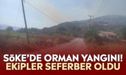 Söke’de orman yangını! Ekipler seferber oldu