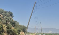 Söke’de yangının nedeni elektrik telleri mi? TEDAŞ'ı mahkemeye verdi
