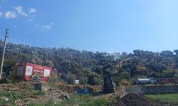 Söke’deki orman yangınına müdahale sürüyor: Asırlık zeytin ağaçları zarar gördü