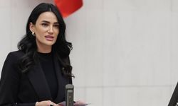 AK Parti Aydın Milletvekili Sarıbaş’tan NATO mesajı! “Dünya Türkiye’yi konuşuyor”