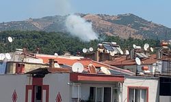 Aydın’da mesire alanında yangın! Ekiplerin müdahalesi faciayı önledi