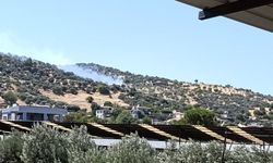 Aydın’daki yangın kontrol altına alındı! Yangının çıkış nedeni araştırılıyor