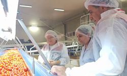 Aydın’ın ‘Dondurulmuş’ Meyveleri Dünya Pazarında